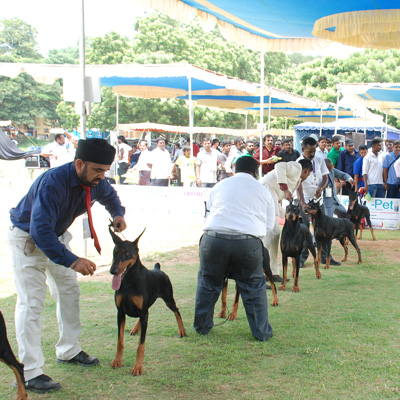 Plants: image 1 0f 4 thumb