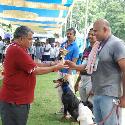 Plants: image 1 0f 4 thumb