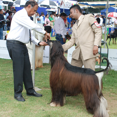 Plants: image 1 0f 4 thumb