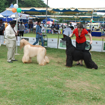 Plants: image 1 0f 4 thumb