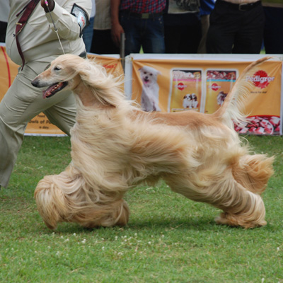 Plants: image 1 0f 4 thumb