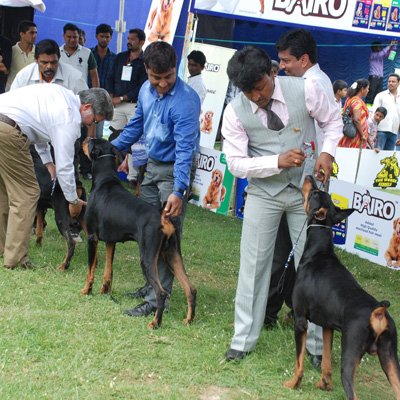 Plants: image 1 0f 4 thumb