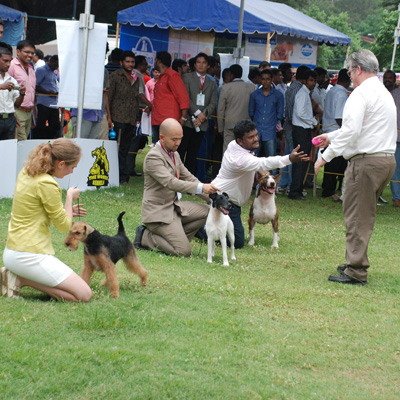 Plants: image 1 0f 4 thumb