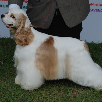 Plants: image 1 0f 4 thumb