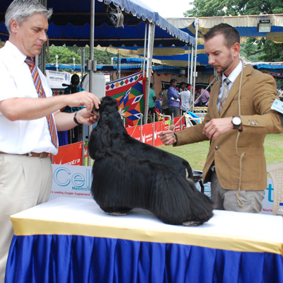 Plants: image 1 0f 4 thumb