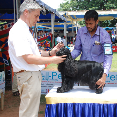 Plants: image 1 0f 4 thumb