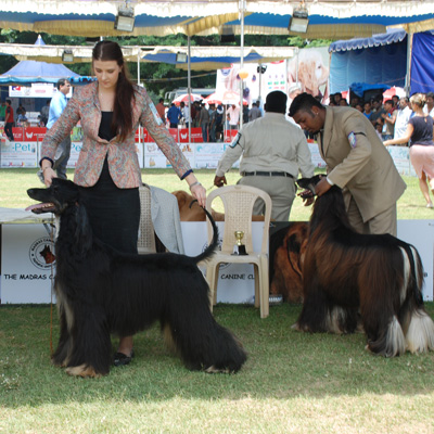 Plants: image 1 0f 4 thumb