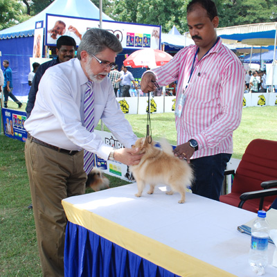 Plants: image 1 0f 4 thumb