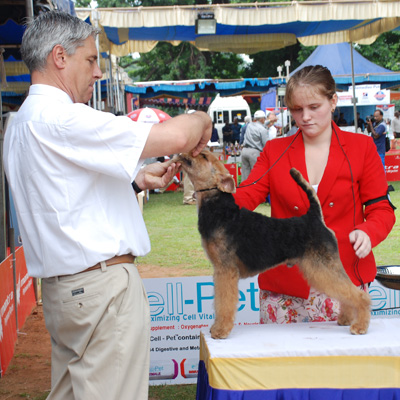 Plants: image 1 0f 4 thumb