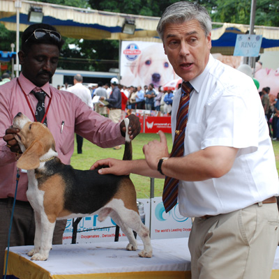 Plants: image 1 0f 4 thumb