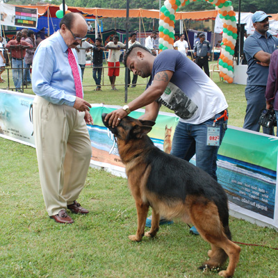 Plants: image 1 0f 4 thumb