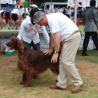 Plants: image 1 0f 4 thumb