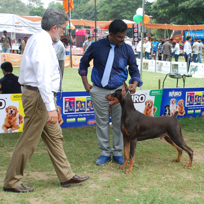 Plants: image 1 0f 4 thumb