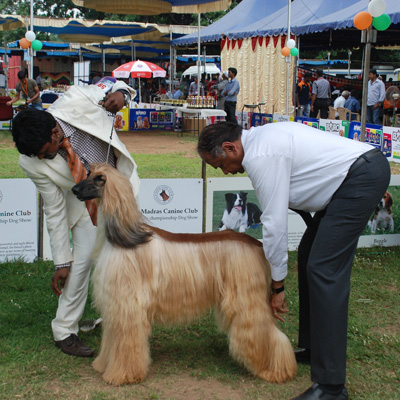 Plants: image 1 0f 4 thumb