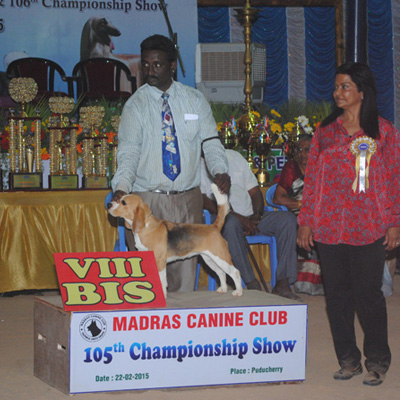 Plants: image 1 0f 4 thumb