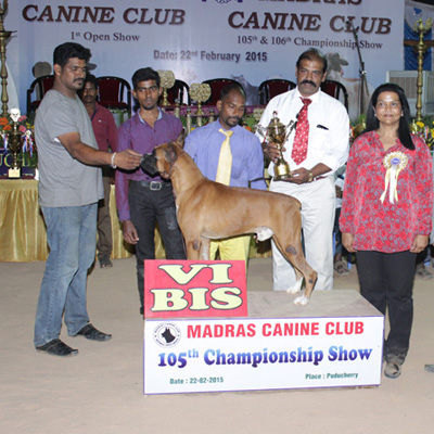 Plants: image 1 0f 4 thumb