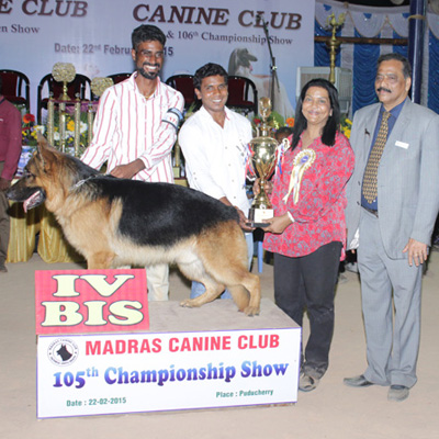 Plants: image 1 0f 4 thumb