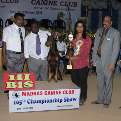 Plants: image 1 0f 4 thumb