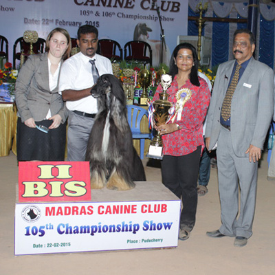 Plants: image 1 0f 4 thumb