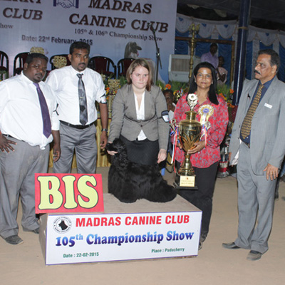 Plants: image 1 0f 4 thumb