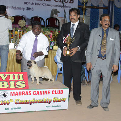 Plants: image 1 0f 4 thumb