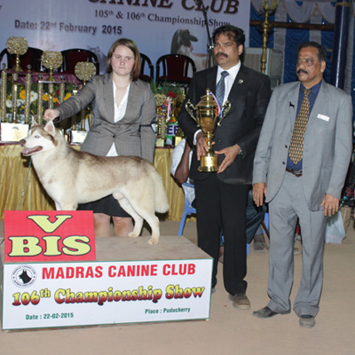 Plants: image 1 0f 4 thumb