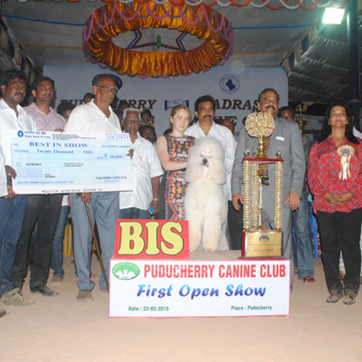 Plants: image 1 0f 4 thumb