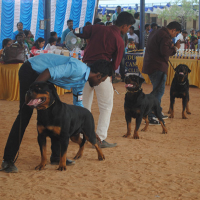 Plants: image 1 0f 4 thumb