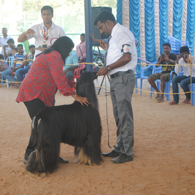 Plants: image 1 0f 4 thumb