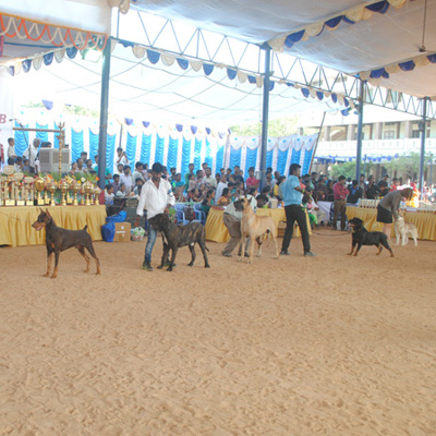 Plants: image 1 0f 4 thumb