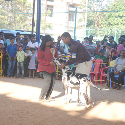 Plants: image 1 0f 4 thumb