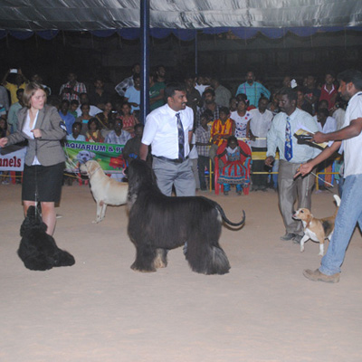 Plants: image 1 0f 4 thumb