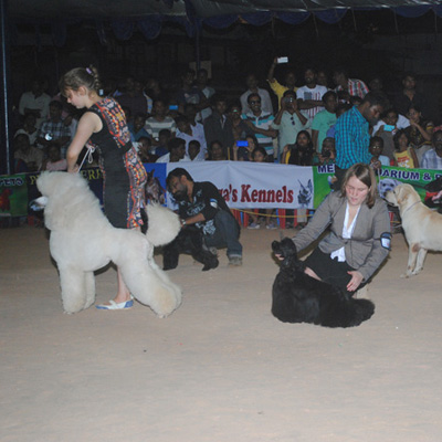 Plants: image 1 0f 4 thumb