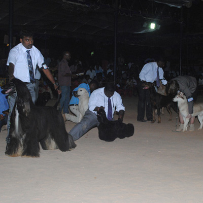 Plants: image 1 0f 4 thumb