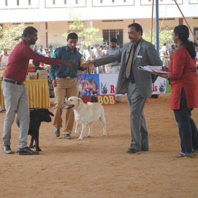 Plants: image 1 0f 4 thumb