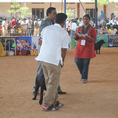 Plants: image 1 0f 4 thumb