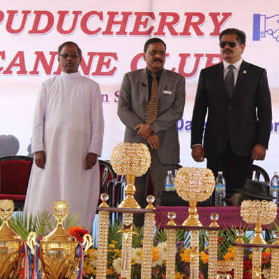 Plants: image 1 0f 4 thumb