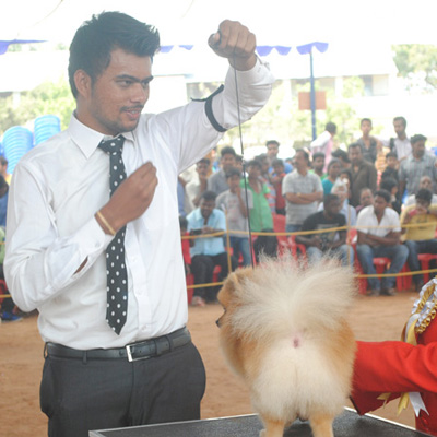 Plants: image 1 0f 4 thumb