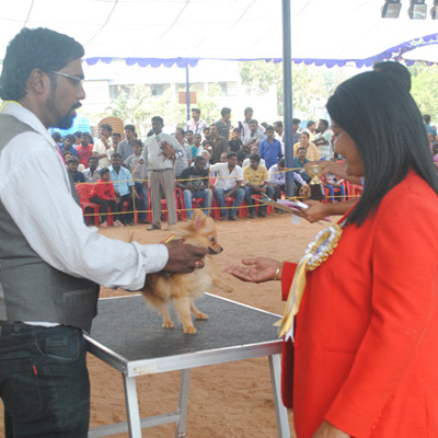 Plants: image 1 0f 4 thumb