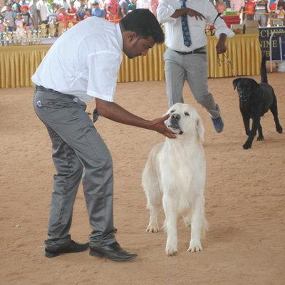 Plants: image 1 0f 4 thumb