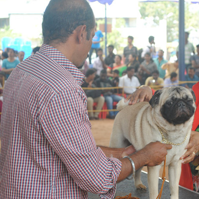 Plants: image 1 0f 4 thumb