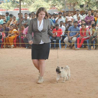 Plants: image 1 0f 4 thumb