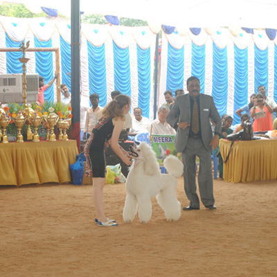 Plants: image 1 0f 4 thumb