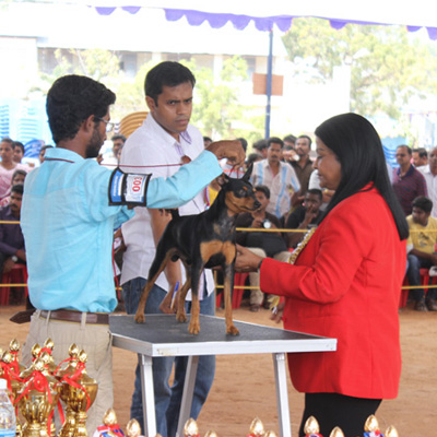 Plants: image 1 0f 4 thumb