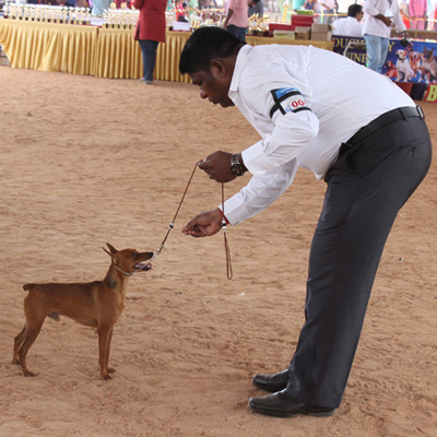 Plants: image 1 0f 4 thumb