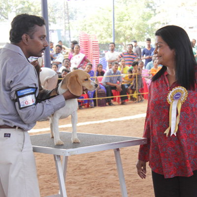 Plants: image 1 0f 4 thumb