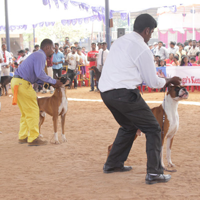 Plants: image 1 0f 4 thumb