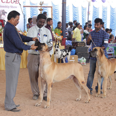 Plants: image 1 0f 4 thumb