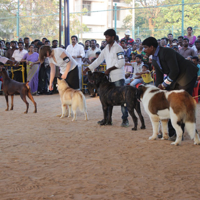 Plants: image 1 0f 4 thumb