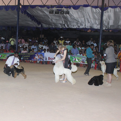 Plants: image 1 0f 4 thumb